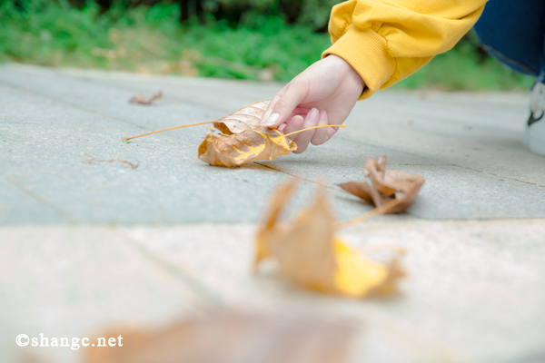 秋天吃什么菜清热去火 教你5中去火又简单的菜谱