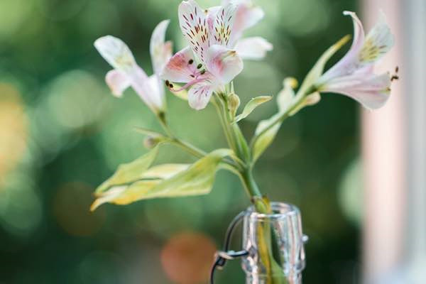 吃木耳中毒有什么症状 出现这些症状说明你中毒了