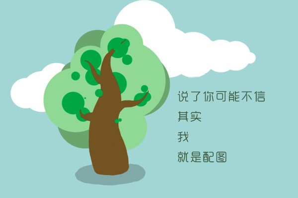 什么除甲醛效果最好 什么植物吸收甲醛最好