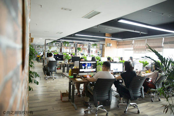 办公室放什么植物防辐射 选择这八种放在电脑旁边