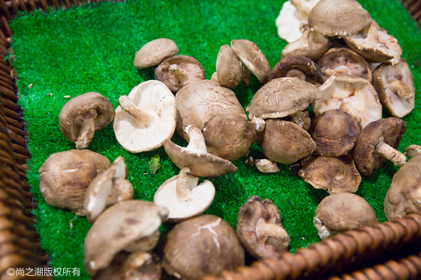 白头发吃什么变黑偏方 这3个效果最好很少有人用