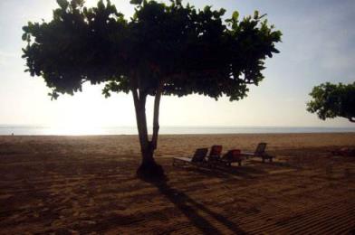 我曾为你着迷，你对我可曾有半点留恋？