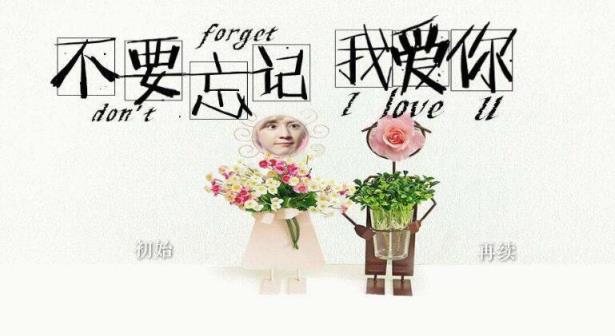 不要忘记我爱你,我已经变成曾经你爱的那个人!