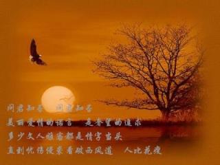 忘了要爱你，不联系是两人最好的结局!