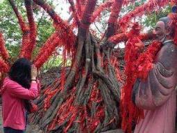 听说姻缘命中注定，把握来源于创造！