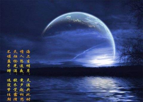 你的月亮我的心，是我不离不弃的誓言！