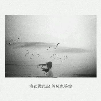 我听闻你始终一个人，荏苒的时光期盼的是你！