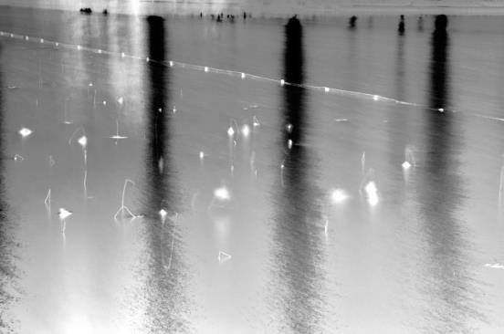 寂寞的夜和谁说话，一滴雨就是我与你的对话！