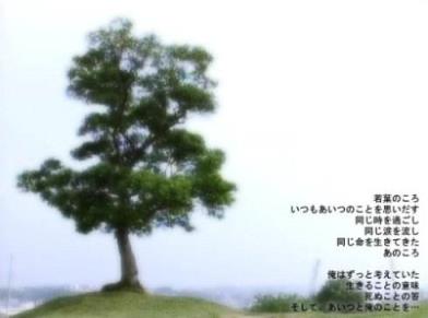 有一个地方只有我们知道，值得我们留恋！