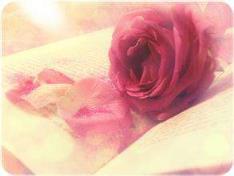 爱是什么感觉，终于不再孤单了！