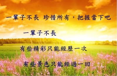 你失去了最爱的人,痛彻心扉却又无可奈何!