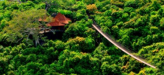 亚龙湾热带天堂森林公园，天然森林氧吧！