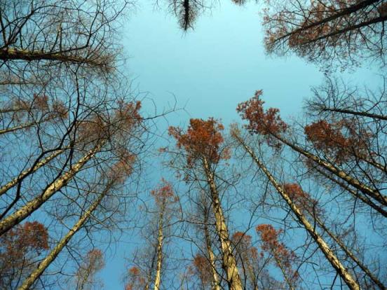 人生何处不相逢，相逢何必曾相识！