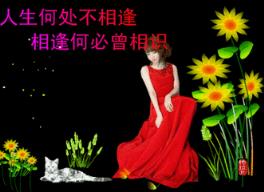 人生何处不相逢，相逢何必曾相识！