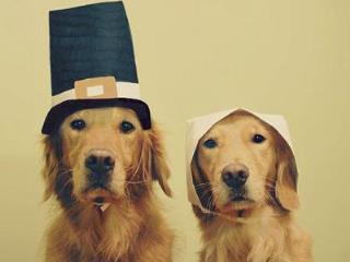 相爱容易相处难，是否会遇到那个对的人！