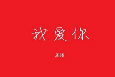 我爱你的各种语言,爱老虎油!