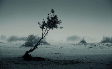 那些风花雪月的事，一身零乱花最香！