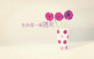 等待只为与你相遇，此生只为与你相见！