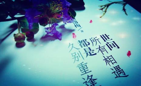 世间的相遇,都是千年后的久别重逢!