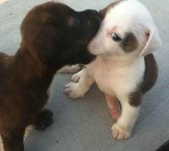 怎么舌吻，最缠绵舌吻技巧!