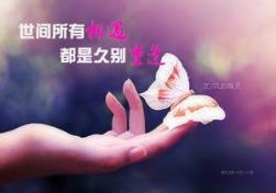 再次重逢的世界，我为什么那么害怕!