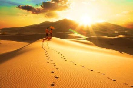 灵魂伴侣，你好难伺候哦！