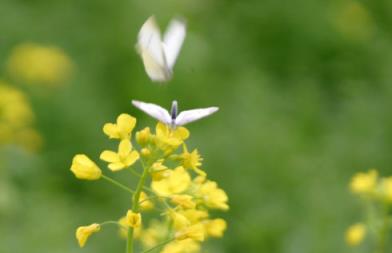 穿越经典，今后天涯但愿长相忆！