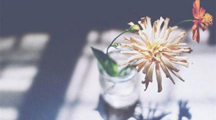 犯贱，为了爱情看轻自己！