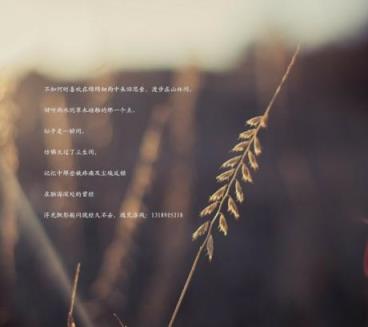 犯贱，为了爱情看轻自己！