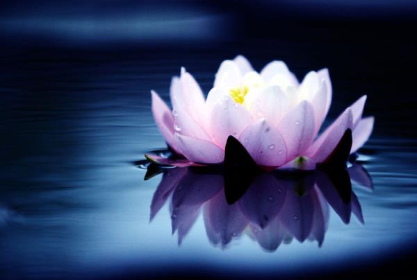 小小克星，遇到你花光了我此生的运气！