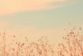 小小克星，遇到你花光了我此生的运气！