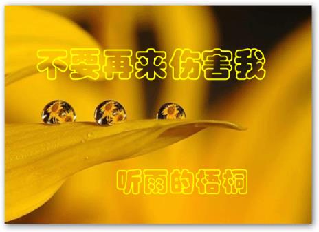 不要再来伤害我，爱情经不起伤害！