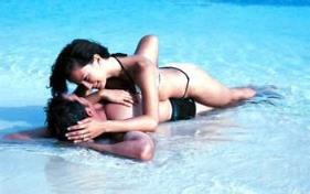 现代爱情故事，我为什么会这么花心？