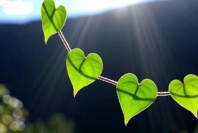 爱情里该学会珍惜，错过的就再也不会回来