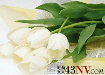 郁金香代表什么 郁金香花语的象征意义大全