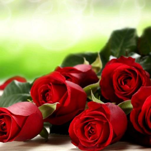 没有情人的情人节，既好过也难过！