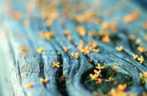 我的夜晚比你的白天更美，人生是一次单程旅行！