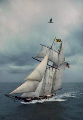 十八岁出门远行，充满期待也满心恐惧！