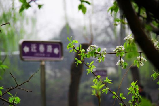 我若离去后会无期，永远告别!