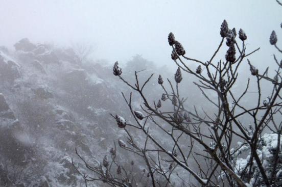 灵魂只能独行，只有自己寻找才能找到上帝！