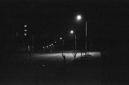 一个人的夜我的心应该放在哪里?