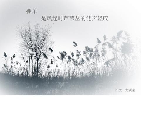没有你的日子我真的好孤单,所有的快乐都与我无关!