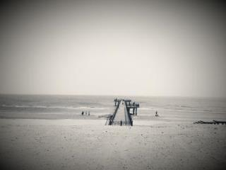 淡淡的忧伤，看你如何去品味！