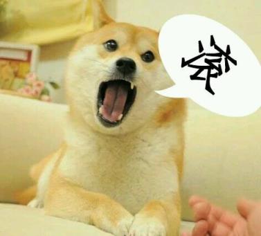 单身狗之歌,“单身汪”也是旺啊!
