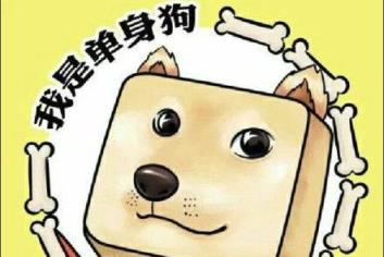 我不能恋爱的理由,不敢承受受骗的伤痛!