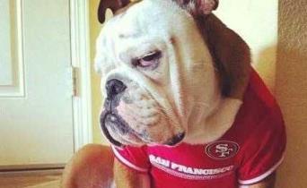 绝对绝望少女，单身太久可能出现的少女！