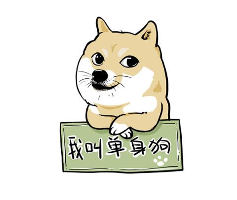 只因单身在一起，爱情自有天意！