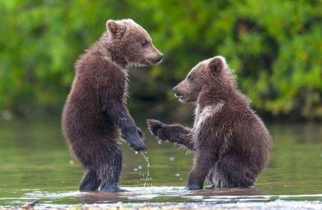 再次重逢的世界,相亲再次遇到前男友！
