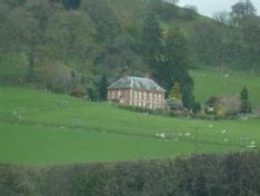 我和大姨子，亡妻走后我该娶大姨子吗！