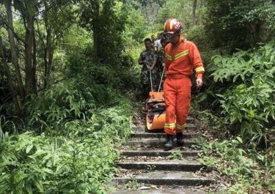 一家人摘板栗遭马蜂袭击,二人死亡